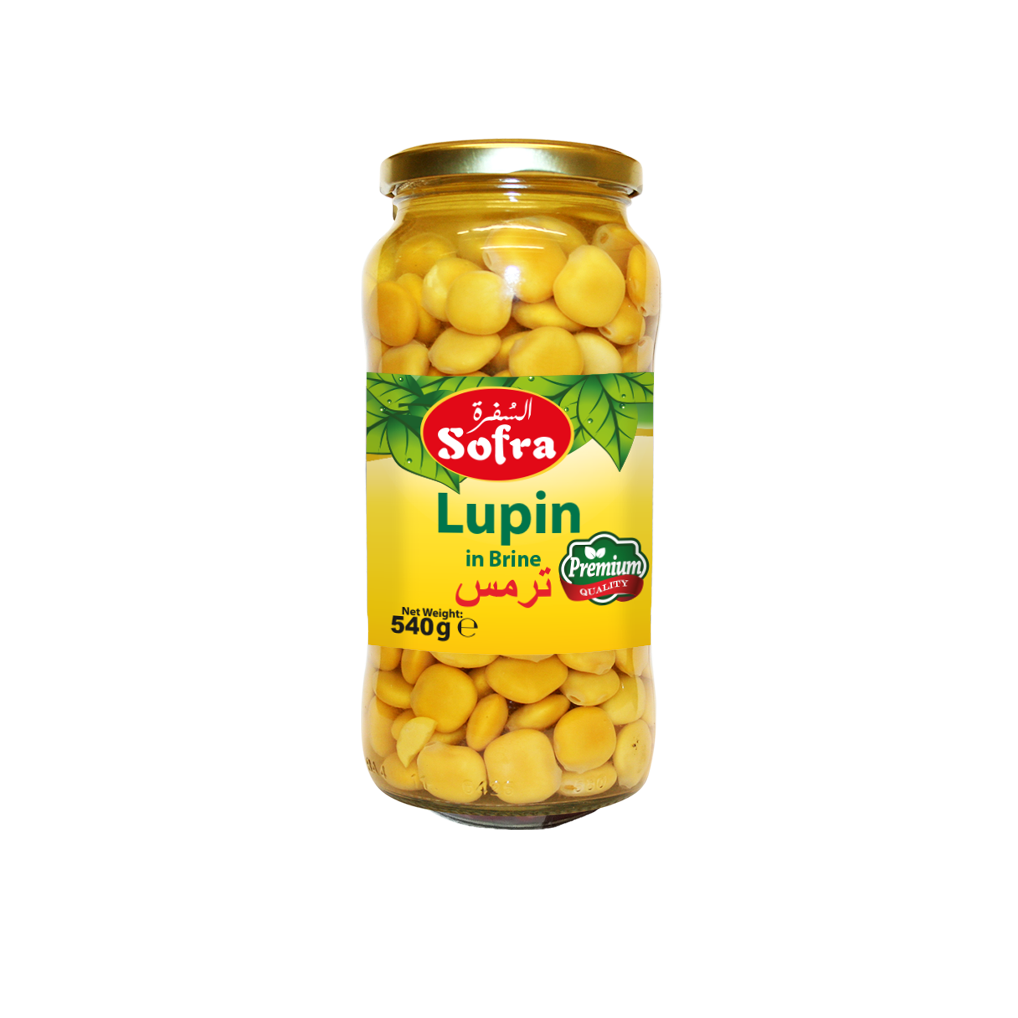 product-large